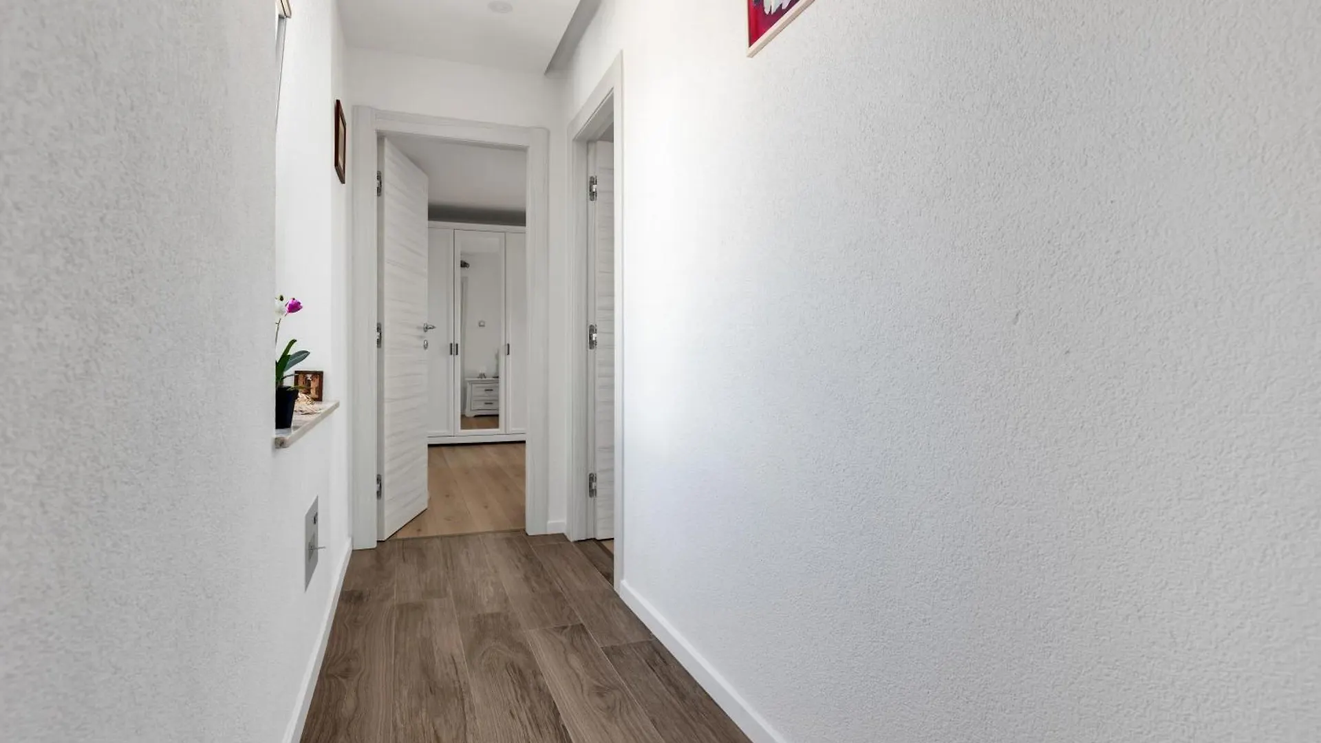 Luxury Dante Apartment With Terrace Split